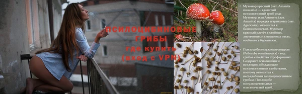 MESCALINE Дмитриев