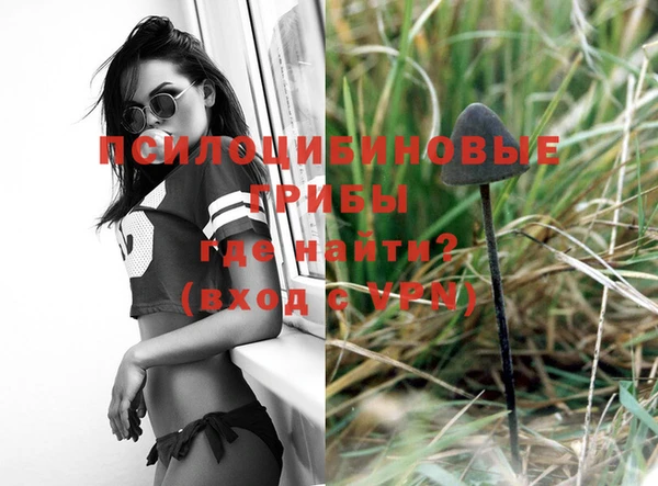 a pvp Михайловск