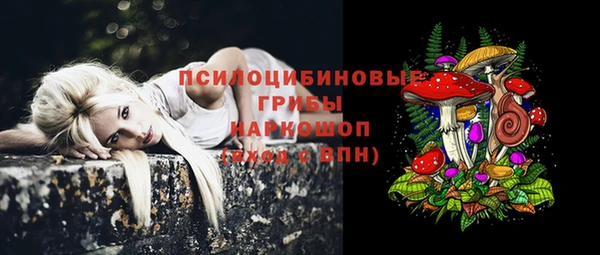 apvp Михайловка