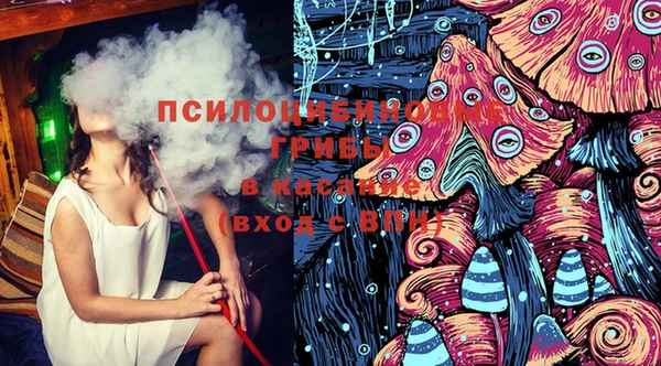 spice Дмитровск