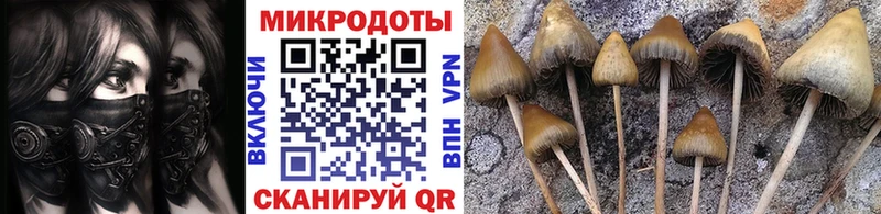 Псилоцибиновые грибы мухоморы  кракен ONION  Ельня  купить наркоту 
